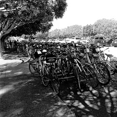 Tour de Sausalito