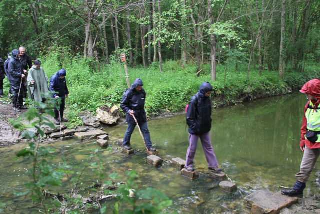 Randonnée 2014 - Gué sur l'Ancoeur - Bois des Bordes Chalonges