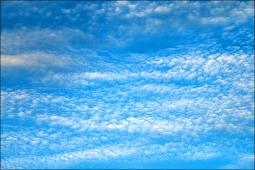 Sky Shot