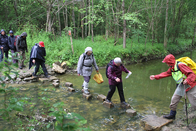 Randonnée 2014 - Gué sur l'Ancoeur - Bois des Bordes Chalonges