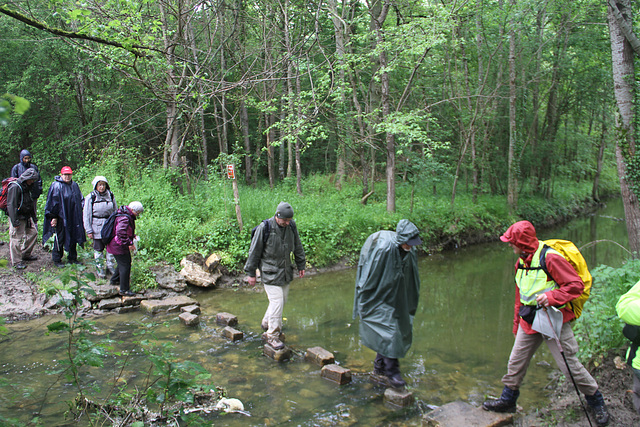 Randonnée 2014 - Gué sur l'Ancoeur - Bois des Bordes Chalonges