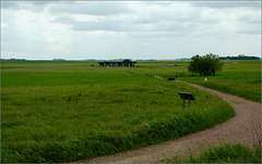 Jeffers Petroglyphs Historic Site Jeffers Petroglyphs Historic Site