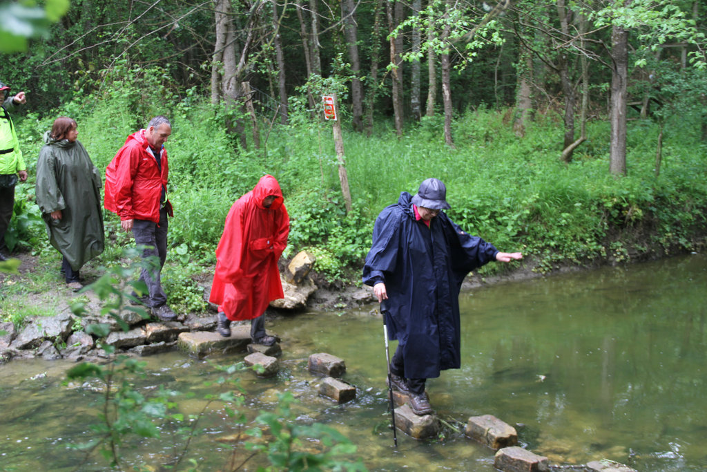 Randonnée 2014 - Gué sur l'Ancoeur - Bois des Bordes Chalonges