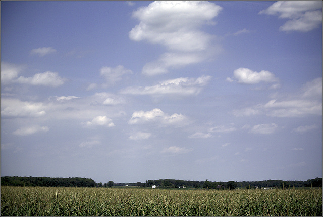 Sky and Field
