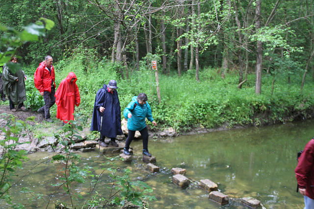 Randonnée 2014 - Gué sur l'Ancoeur - Bois des Bordes Chalonges