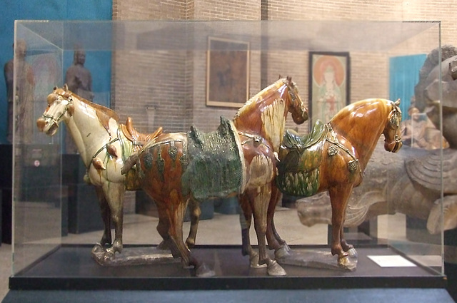 Tang Horses in the University of Pennsylvania Museum, November 2009