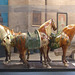 Tang Horses in the University of Pennsylvania Museum, November 2009