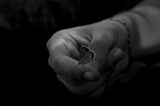 Between the fingers ... a butterfly