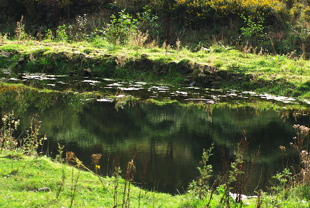 Shire Hill reflected