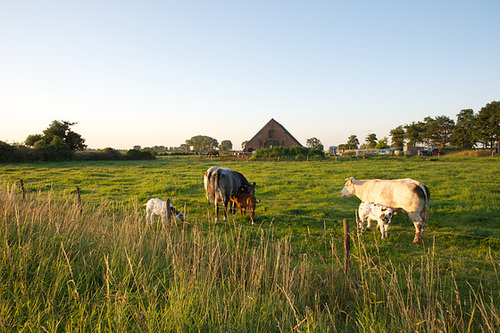 A la campagne près de Zutphen