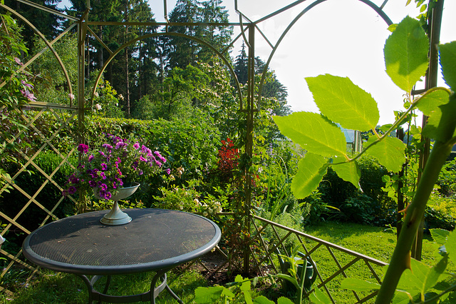 Jardin du B&B à Voorstonden