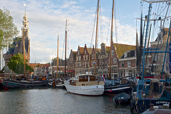 Hoorn