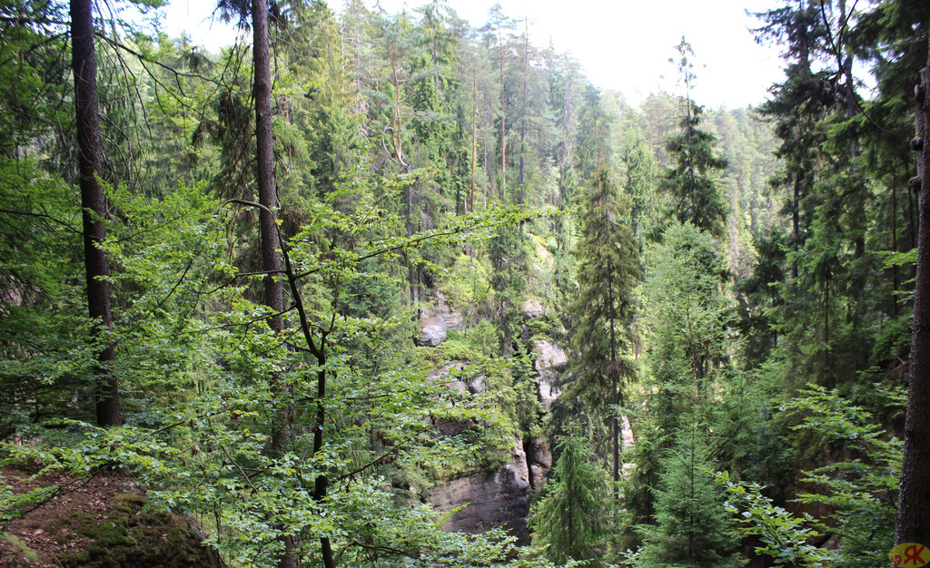 2014-07-06 25 Hinterhermsdorf - Niedere Schleuse