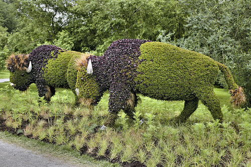 Mother Earth #6 – Mosaïcultures Internationales de Montréal, Botanical Garden, Montréal, Québec