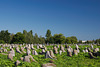 Der alte judische Friedhof in Berdytschiw