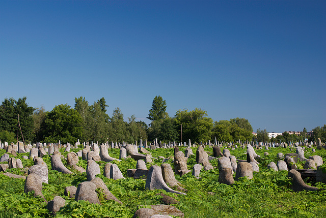 Der alte judische Friedhof in Berdytschiw Der alte judische Friedhof in Berdytschiw