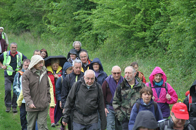 Randonnée 2014 - Etang d'Auneux