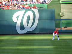 Jayson Werth