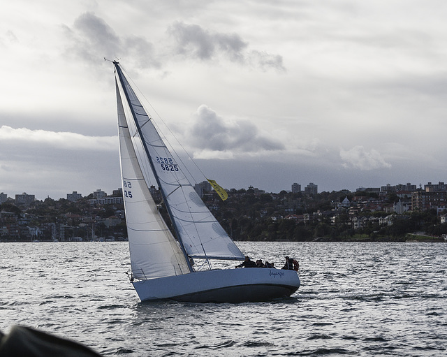 Sailing in Sydney Harbour