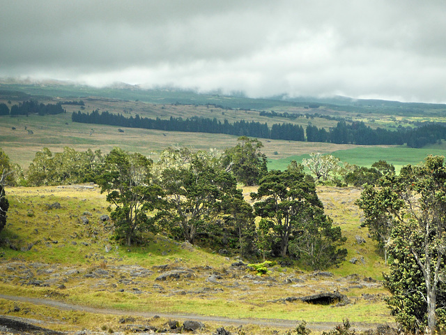 Ranch Country, Big Island