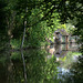 Les bords de l'Eure à Pontgouin