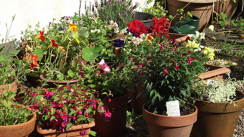 The pots infront of the porch