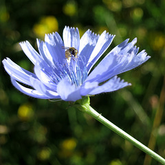 IMG 9012 IMG 9012