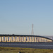 Dumbarton Bridge SF Bay (0437)