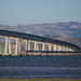 Dumbarton Bridge SF Bay (0444)