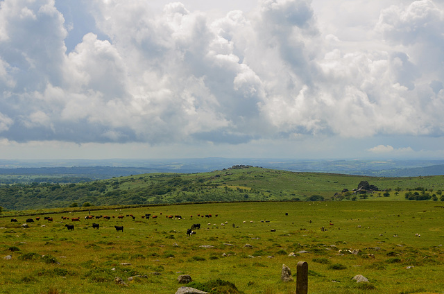 Dartmoor