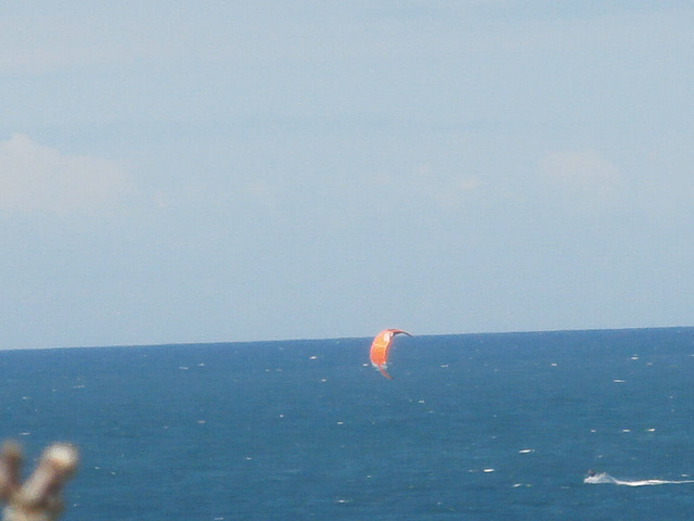 A kite-surfer was having a great time in the wind