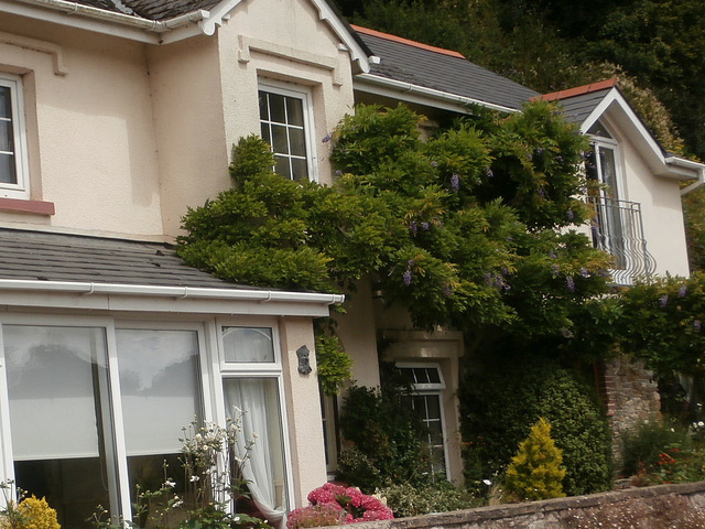 A sweet little cottage in Weare Gifford