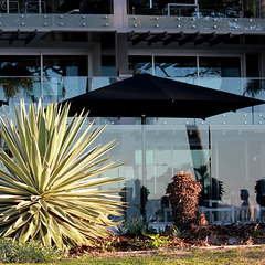 Noosa Boardwalk