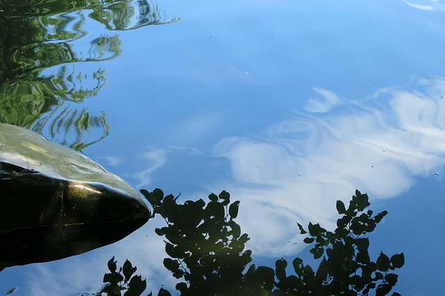 Le ciel dans l'eau