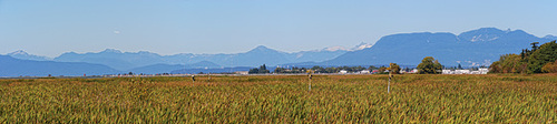 Panorama from Reifel Bird Sanctuary