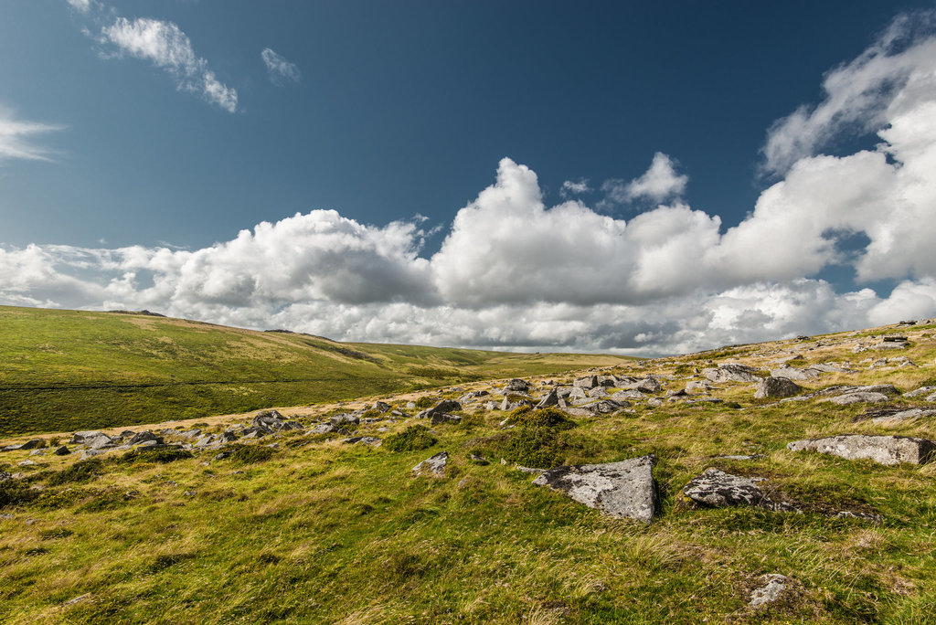 Dartmoor - 20140811