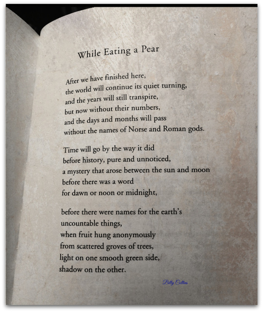 While Eating a Pear ~ Billy Collins