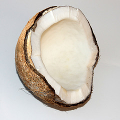 Coconut White