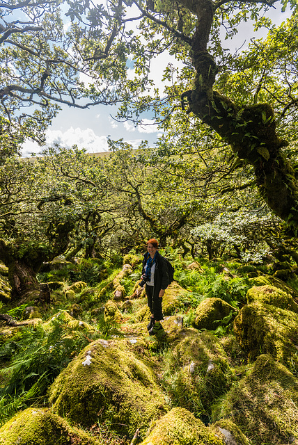 Wistman's Wood - 20140811