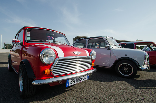 mini