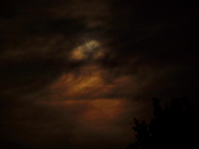 Cloudy Moon