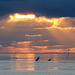 Sonnenuntergang