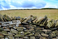 Drystone wall