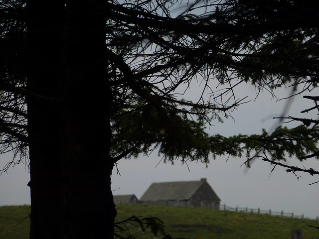 20140723 -27 Nasbinals Aubrac VTT Marche (1) al