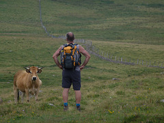 20140723 -27 Nasbinals Aubrac VTT Marche (9) al