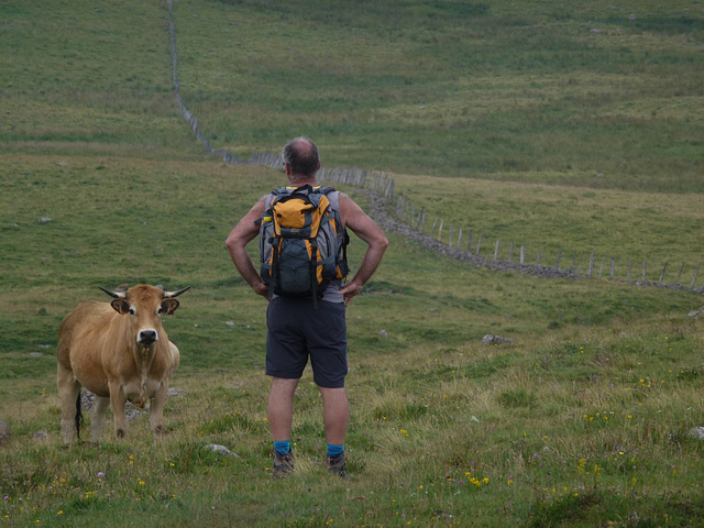 20140723 -27 Nasbinals Aubrac VTT Marche (9) al