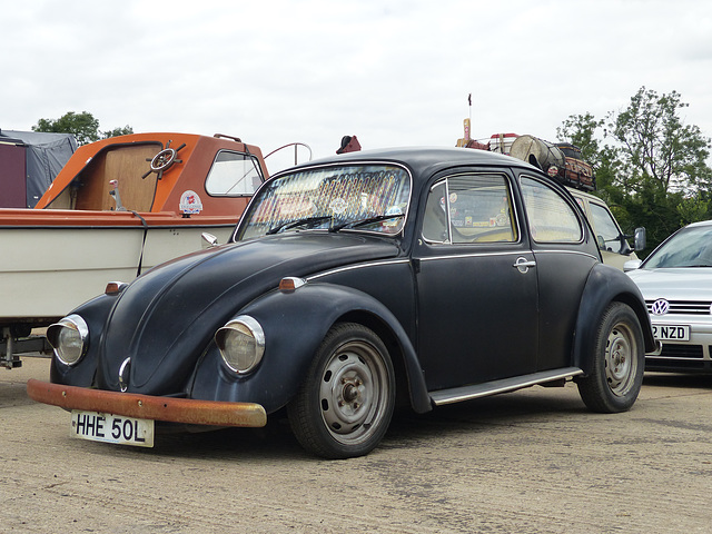 The Unexpected Beetles (6) - 15 July 2014
