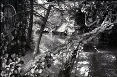 Les bords de l'Eure à Pontgouin