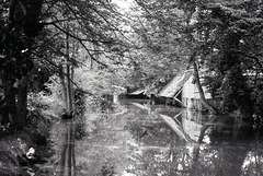 Les bords de l'Eure à Pontgouin