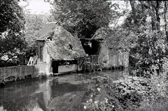 Les bords de l'Eure à Pontgouin